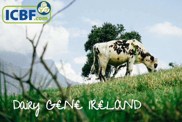 The Role Of The National Breeding Programme In The Irish Dairy Industry