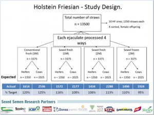 Figure 1. Experimental design of the sexed semen field trial conducted during the 2013 breeding  season. Two fresh sexed semen treatments and one frozen sexed semen treatment were compared against a conventional fresh treatment.