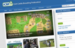 New ICBF Web Site