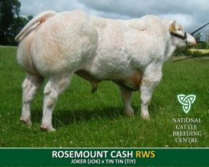 ROSEMOUNT CASH ET (RWS)