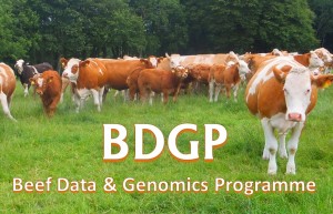 Read more about the article BDGP – Did it deliver?