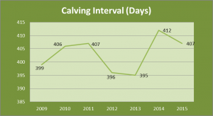 Read more about the article Suckler Herd Fertility Takes A Positive Turn