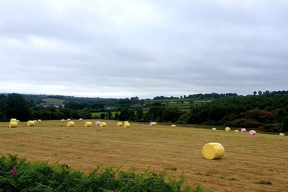 Read more about the article Peter Hynes – Trailer after trailer load of coloured bales