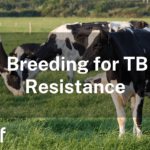 Breeding for TB Resistance in 2025