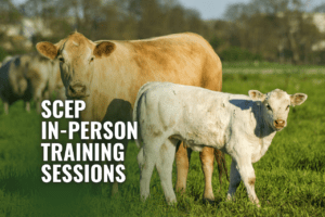 SCEP In-Person Training Sessions