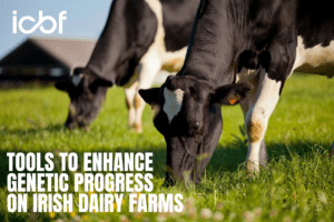 Read more about the article Tools to Enhance Genetic Progress on Irish Farms