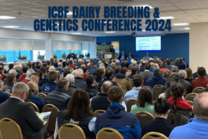 Watch: ICBF Dairy Breeding & Genetics Conference