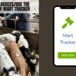 How to use the new ICBF Mart Tracker