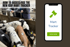 How to use the new ICBF Mart Tracker