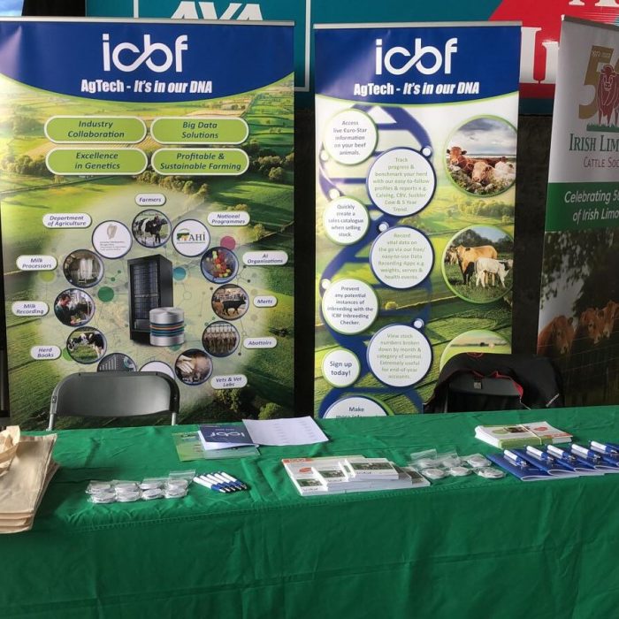 ICBF stand tullamore